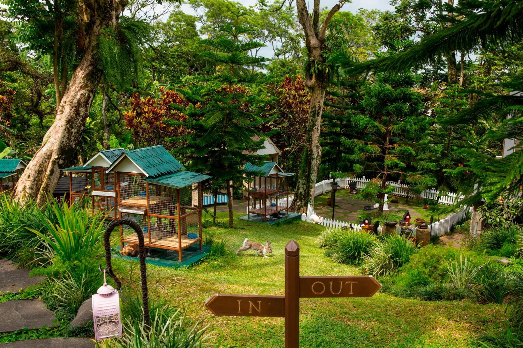 Novus Giri Resort & Spa Puncak Exterior photo